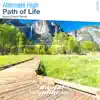 Alternate High - Path of Life (Ikerya Project Remix) - Single